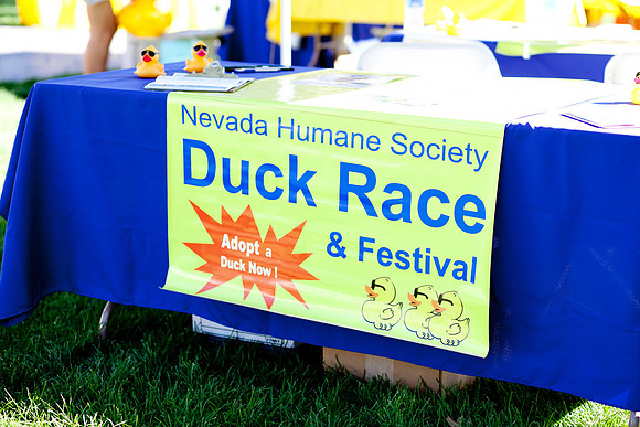 NVHSDuckRace2012-2