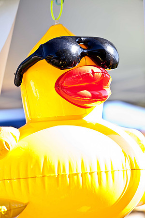 NVHSDuckRace2012-3