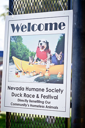 NVHSDuckRace2012-6