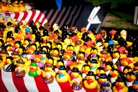 NVHSDuckRace2012-8