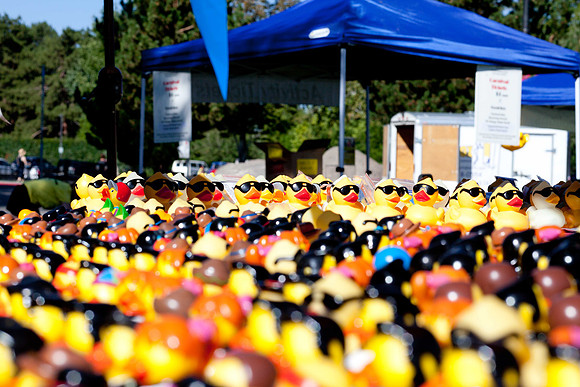 NVHSDuckRace2012-9