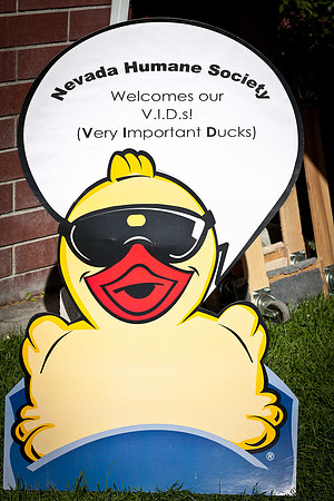 NVHSDuckRace2012-12