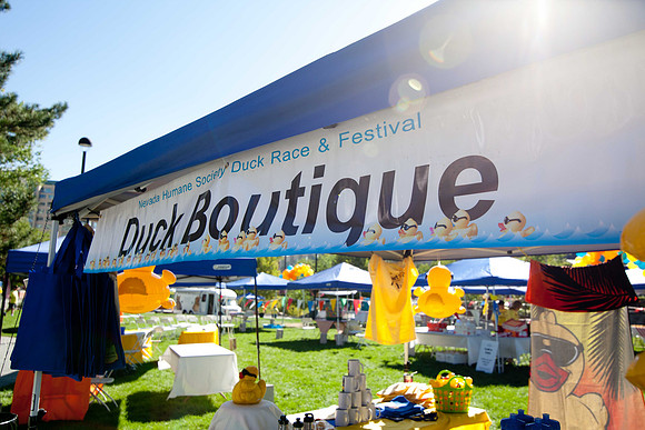 NVHSDuckRace2012-19