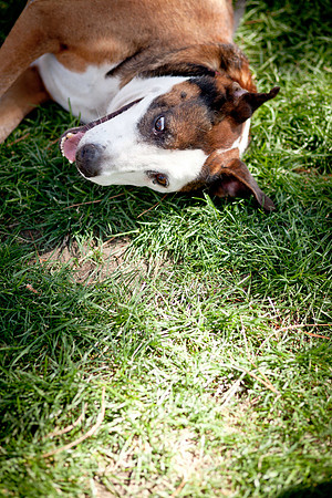 NVHSDuckRace2012-44