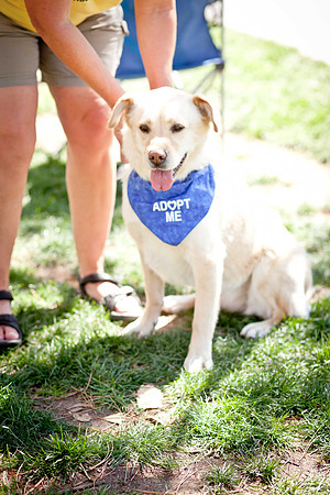 NVHSDuckRace2012-67