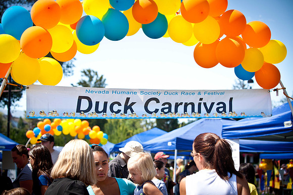NVHSDuckRace2012-121