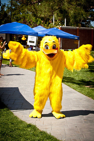 NVHSDuckRace2012-126
