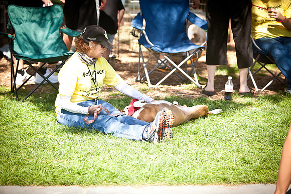 NVHSDuckRace2012-127