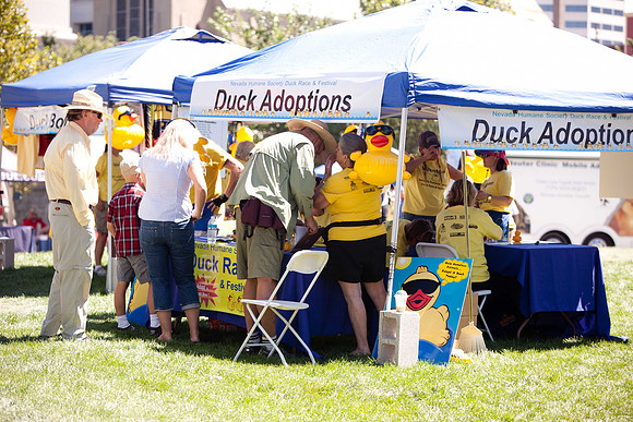 NVHSDuckRace2012-159
