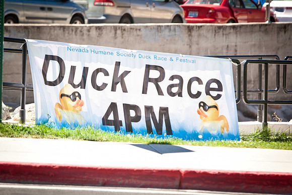 NVHSDuckRace2012-169