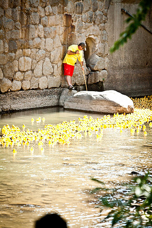 NVHSDuckRace2012-257