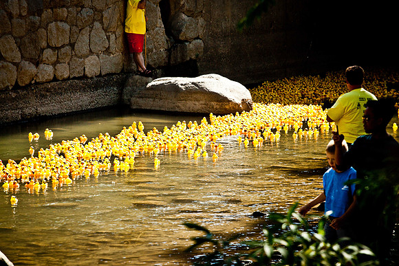 NVHSDuckRace2012-258