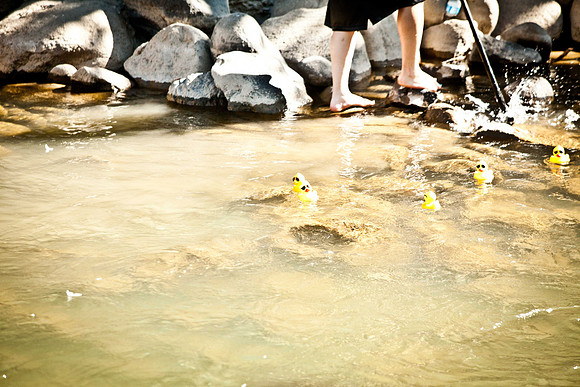 NVHSDuckRace2012-260