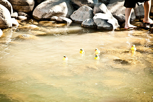 NVHSDuckRace2012-261