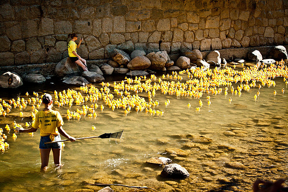 NVHSDuckRace2012-263