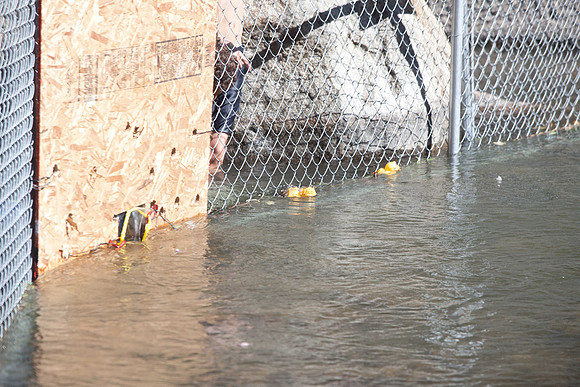 NVHSDuckRace2012-264