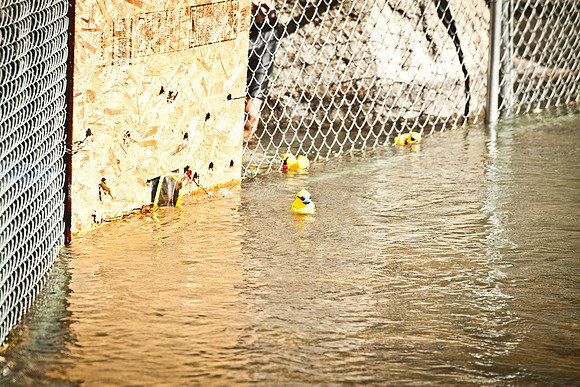NVHSDuckRace2012-265