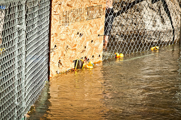 NVHSDuckRace2012-266