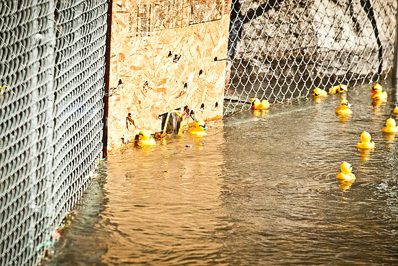 NVHSDuckRace2012-268