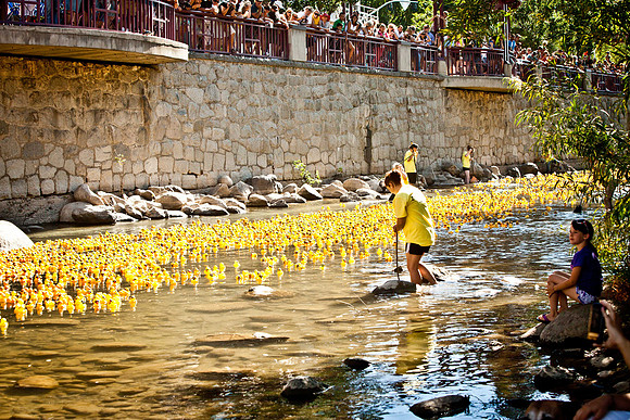 NVHSDuckRace2012-270