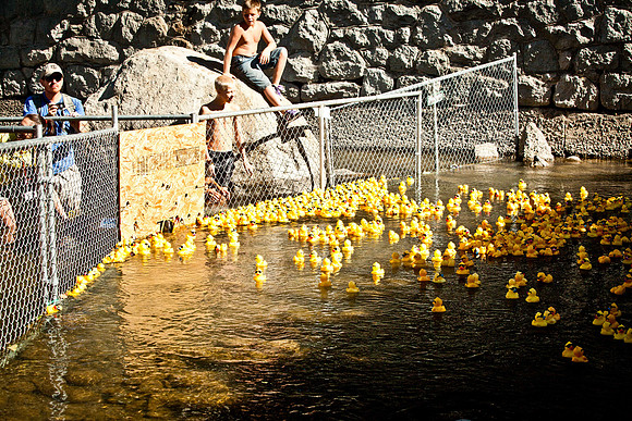 NVHSDuckRace2012-271
