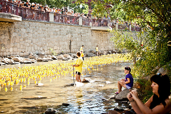 NVHSDuckRace2012-272