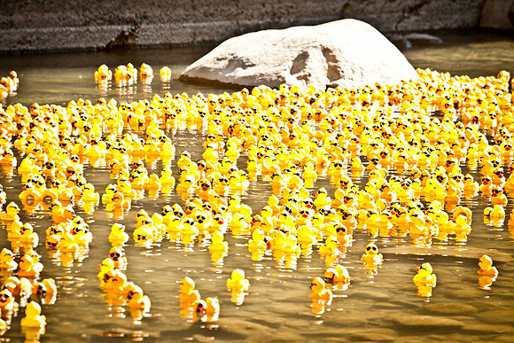 NVHSDuckRace2012-274