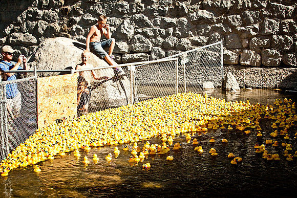 NVHSDuckRace2012-276