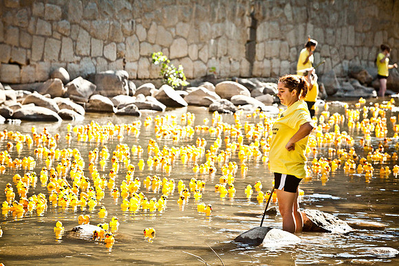 NVHSDuckRace2012-279
