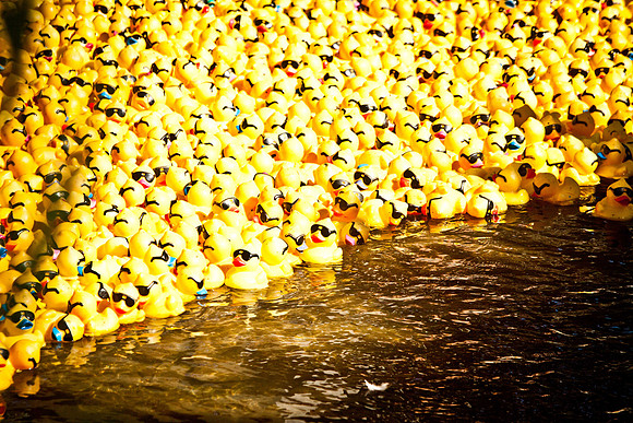 NVHSDuckRace2012-280