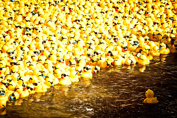 NVHSDuckRace2012-281