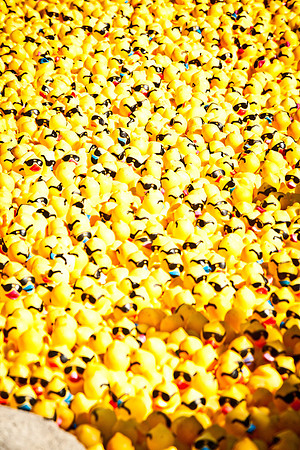 NVHSDuckRace2012-282