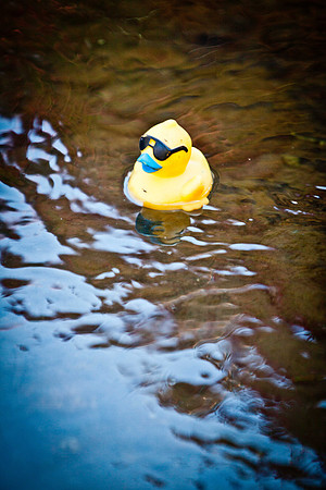NVHSDuckRace2012-284