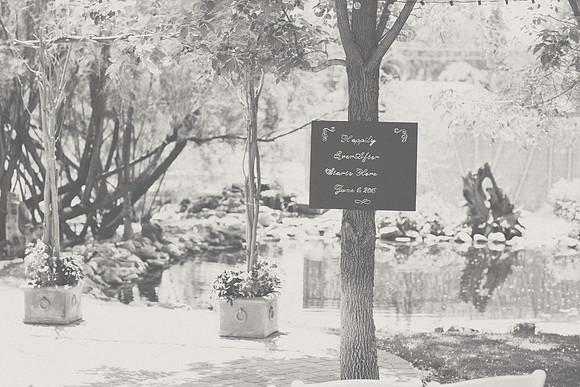 SVWedding15-3