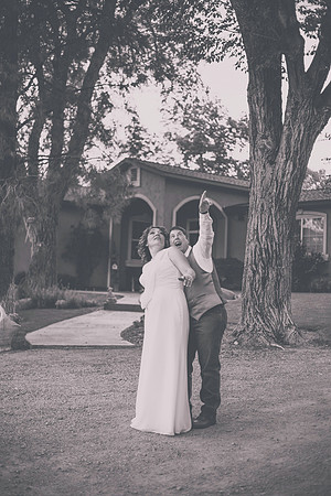 SVWedding15-231