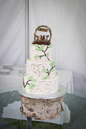 SVWedding15-67
