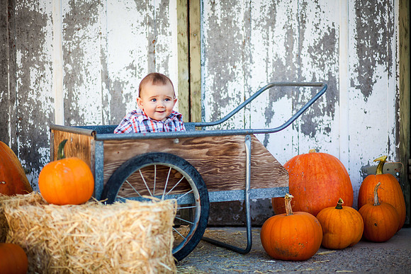 Perez6month-90