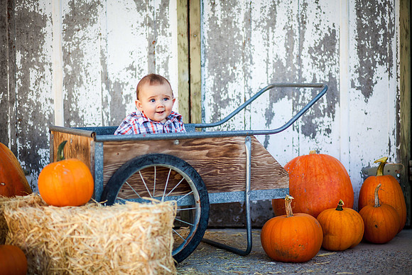 Perez6month-89