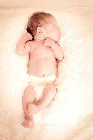 Brayton-4