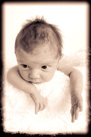 Brayton-2