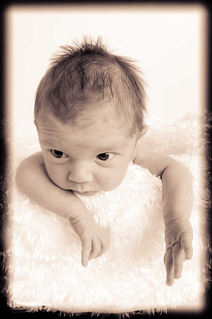 Brayton-2